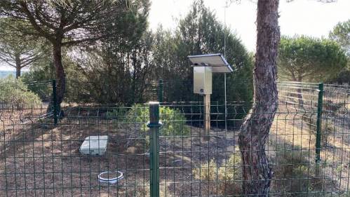 Imagen de uno de los lisímetros instalados en Doñana