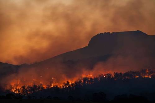 incendio forestal