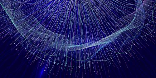 información de nuestro entorno se organiza en el cerebro de forma geométrica