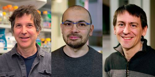 Baker, Hassabis y Jumper, Nobel de Química 2024
