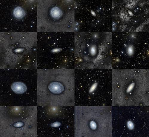 galaxias
