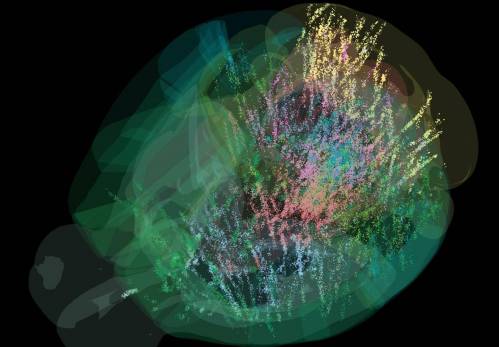 cerebro, decisiones, expectativas