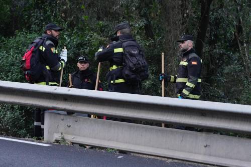 'zona cero' del brote de peste porcina africana 