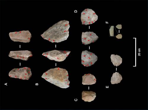 herramientas líticas, Homo erectus