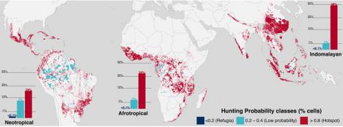 Mapa de la probabilidad de que haya caza en las áreas tropicales del planeta