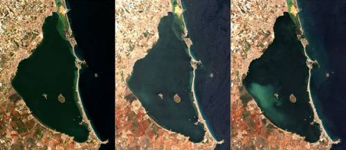  mancha blanca Mar Menor