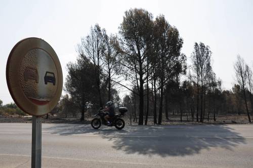 cambio climático, incendios