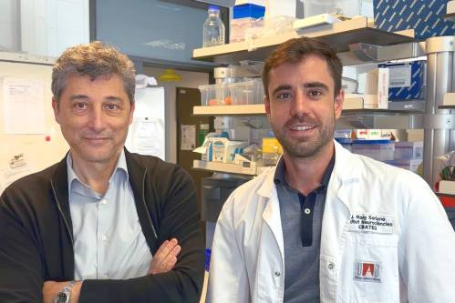 El equipo del INc-UAB 