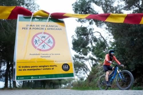 Vista de uno de los carteles situados este domingo en los accesos al Parque Natural de Collserola (Barcelona), alertando de la presencia de la peste porcina. EFE/Enric Fontcuberta