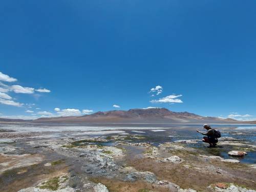 Muestreo en Salar Grande