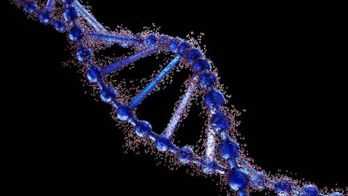 autores del estudio, sesgo genético