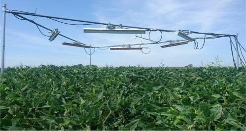 Sistema de calefacción infrarroja empleado para simular condiciones de más temperatura en plantas
