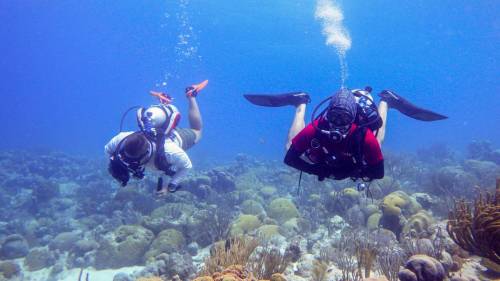 buceo corales