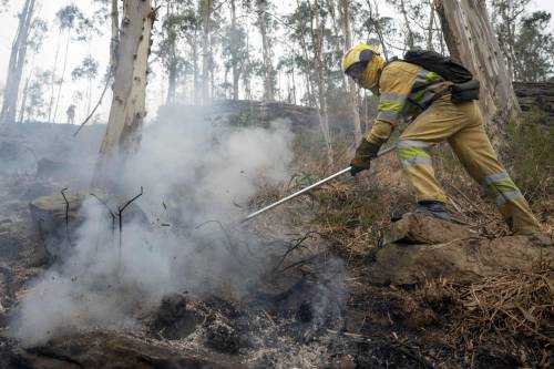 Agentes del Medio Natural y Bomberos Forestales del Gobierno de Cantabria, trabajan, este viernes, en la extinción de un incendio declarado en los montes próximos a la localidad cántabra de Selaya.