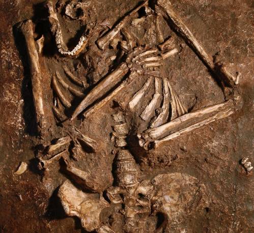 Réplica del esqueleto neandertal de Kebara 2