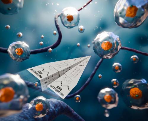 edición genética, cáncer