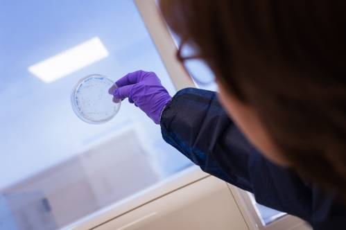 Un anticuerpo protege ‘in vitro’ a las células del sistema inmunitario de una peligrosa bacteria hospitalaria