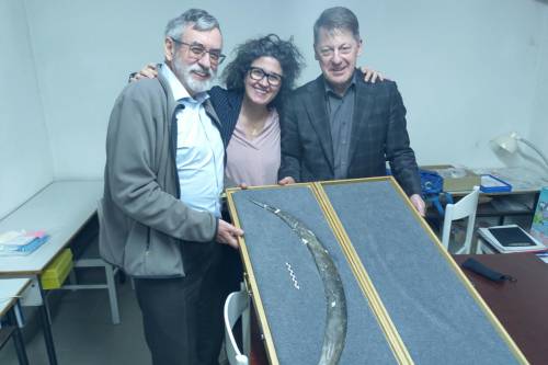 Los investigadores Sahra Talamo, Paweł Valde-Nowak y Adam Nadachowski, firmantes del estudio, con el bumerán / EFE-Plos One | Talamo et. al.