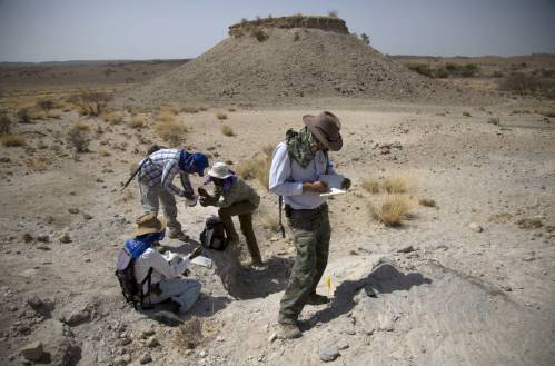 Haile-Selassie y su equipo documentando y recolectando fósiles en uno de los yacimientos de Woranso-Mille
