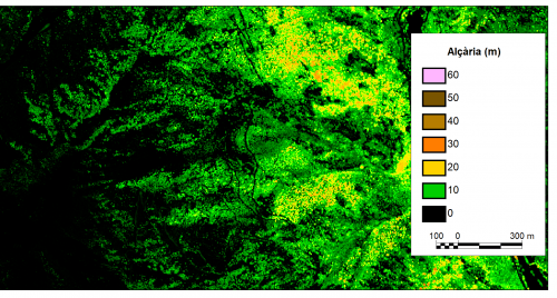 Alturas de la vegetación natural