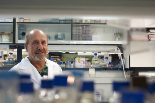 Mariano Esteban, CNB-CSIC