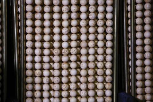 sorteo de navidad, el gordo, matemáticas, probabilidad