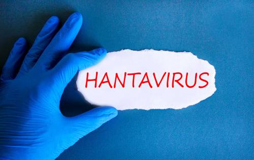 hantavirus