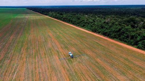 Fumigación durante el cultivo de soja en Brasil