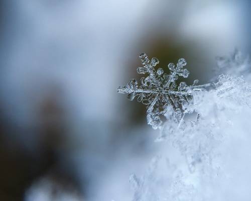 Copos de nieve