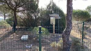 Imagen de uno de los lisímetros instalados en Doñana