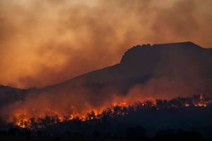 incendio forestal