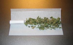 El 21,8 % de los estudiantes españoles ha consumido cannabis en el último año. / Wikimedia Commons