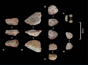 herramientas líticas, Homo erectus