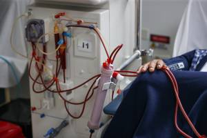 Nueve meses sin diálisis gracias a un riñón de cerdo trasplantado