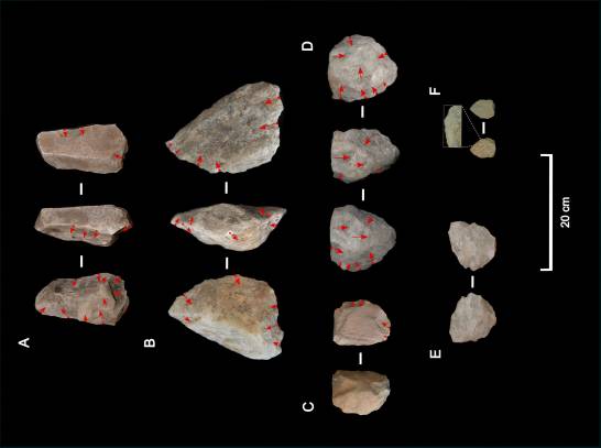 El ‘Homo erectus’ se adaptó a condiciones climáticas extremas hace un millón de años