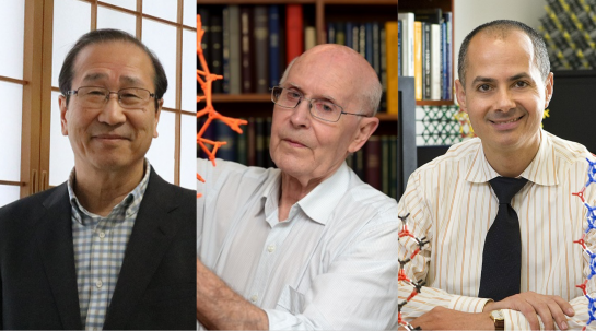 Kitagawa, Robson y Yaghi ganan el Nobel de Química 2025 por sus trabajos en estructuras organometálicas