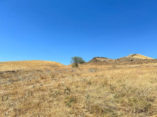 Drought & Antibiotic Resistance: Climate Change Link Found in Soil Studies