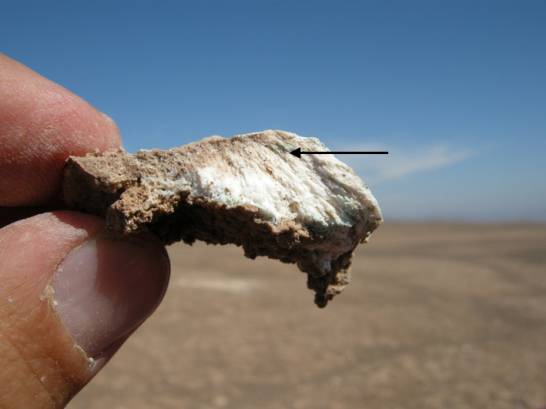 Los microorganismos del desierto de Atacama ayudan a buscar vida en Marte