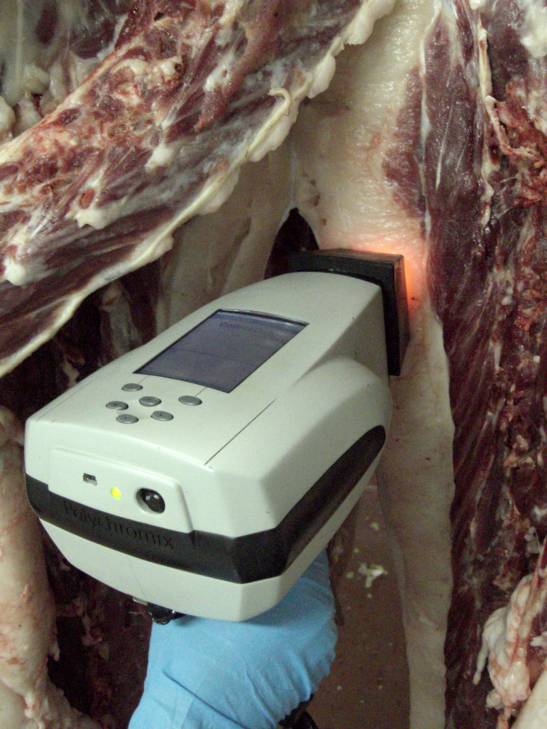 Un sensor analiza de manera instantánea la autenticidad del cerdo ibérico