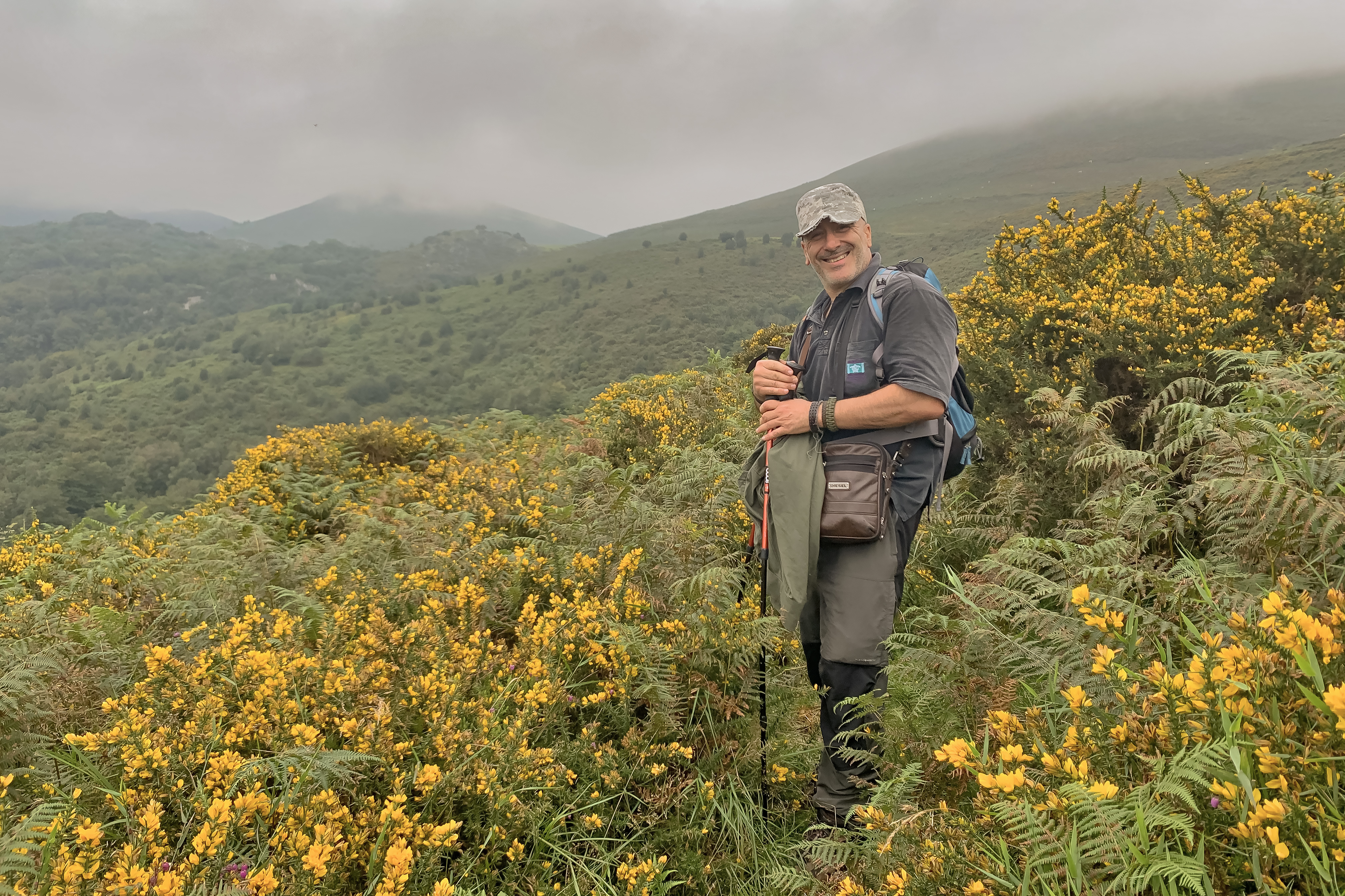 “El lobo debe equipararse legislativamente con otras especies emblemáticas de nuestra fauna”