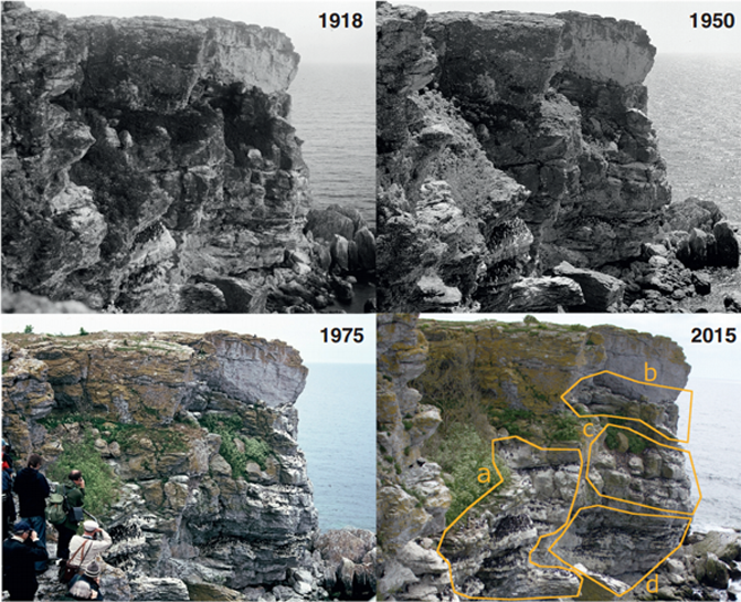 Evolución poblacional según las fotografías tomadas en diferentes momentos del siglo pasado. / Hentati-Sundberg et al.