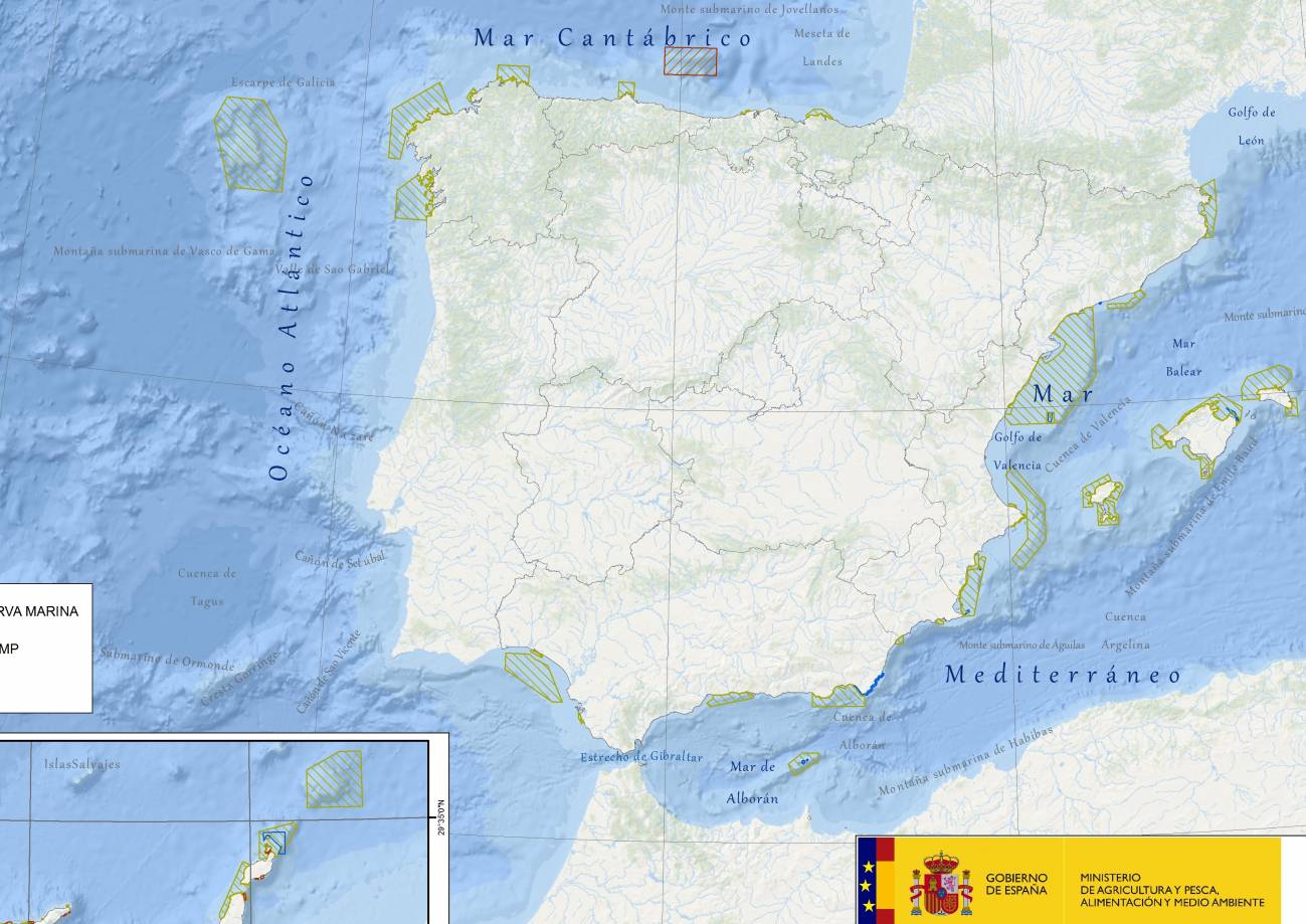 AMP en España