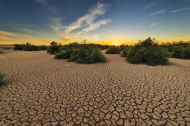 La inacción climática se cobra millones de vidas cada año