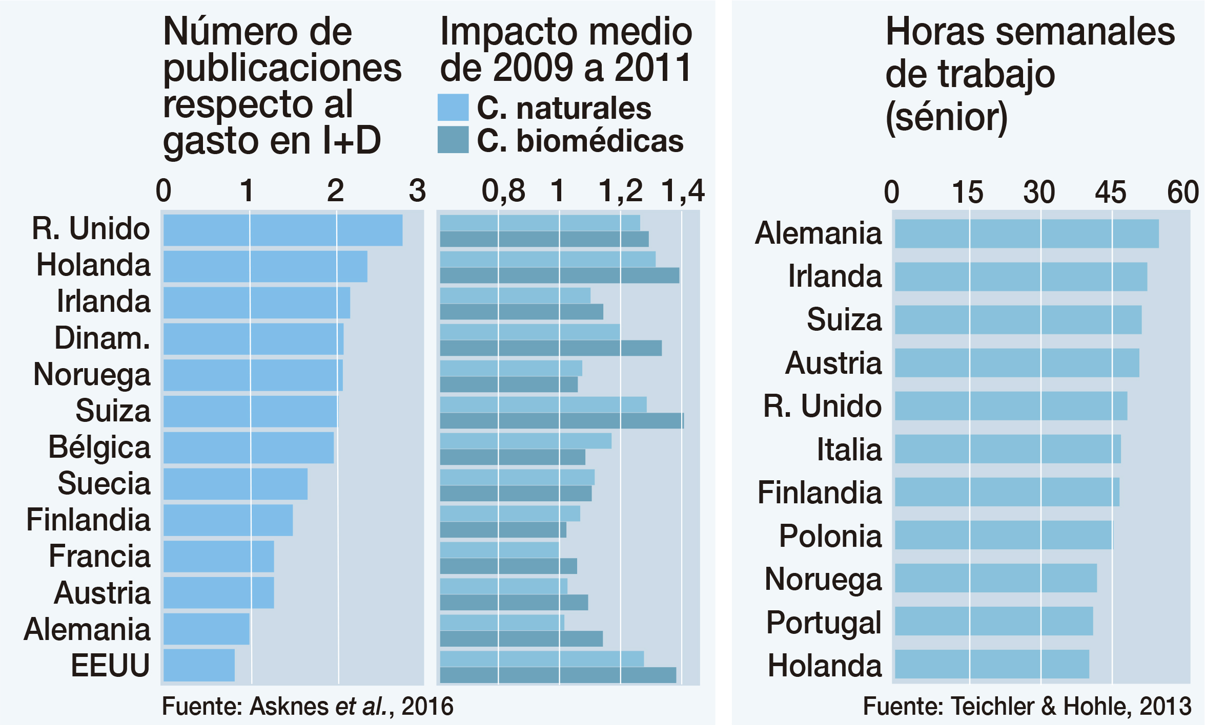 horas