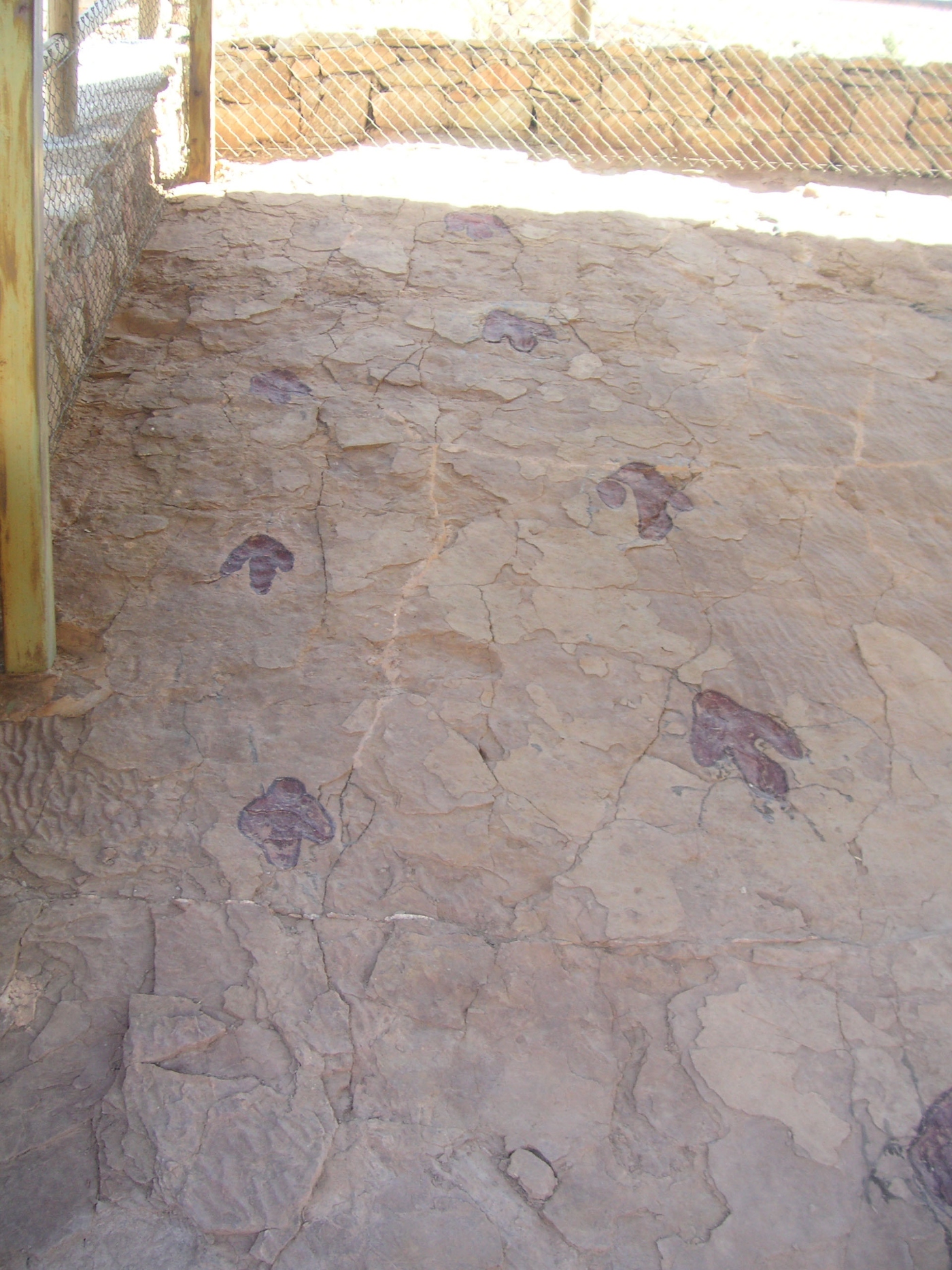 ESTAIIRastros paralelos__II