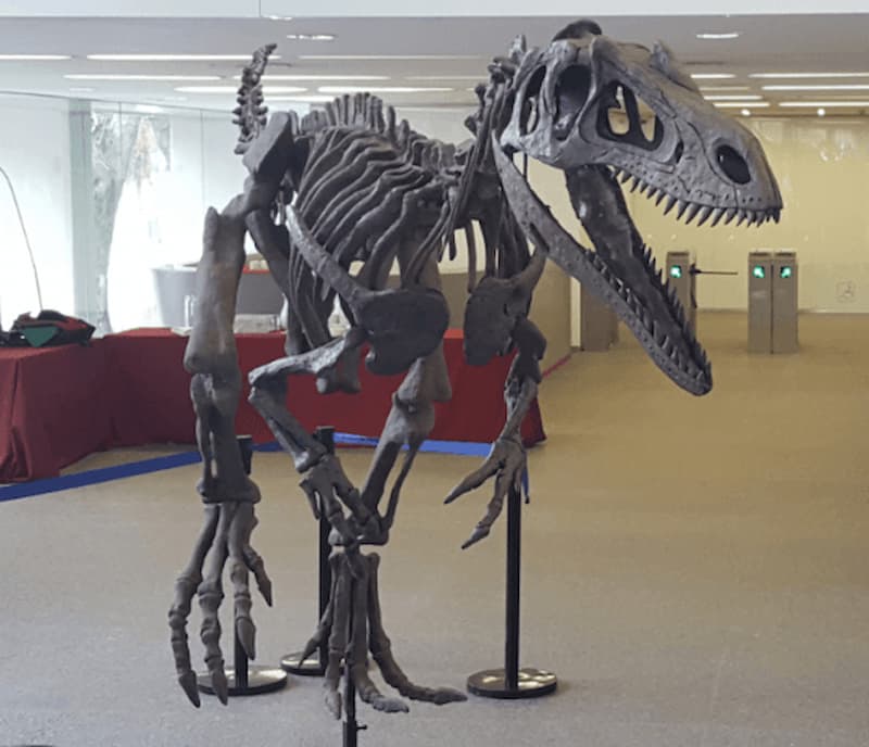 https://www.agenciasinc.es/Noticias/Argentina-presenta-a-Gualicho-el-dinosaurio-maldito