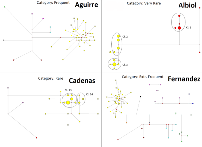 Redes de relaciones entre hombres con el mismo apellido, para cuatro apellidos españoles con frecuencias distintas. Las relaciones se han trazado basándose en los haplogrupos del cromosoma Y, es decir, las diferencias en el ADN que permiten trazar la línea de descendencia por línea paterna./ Universidad Jaume I