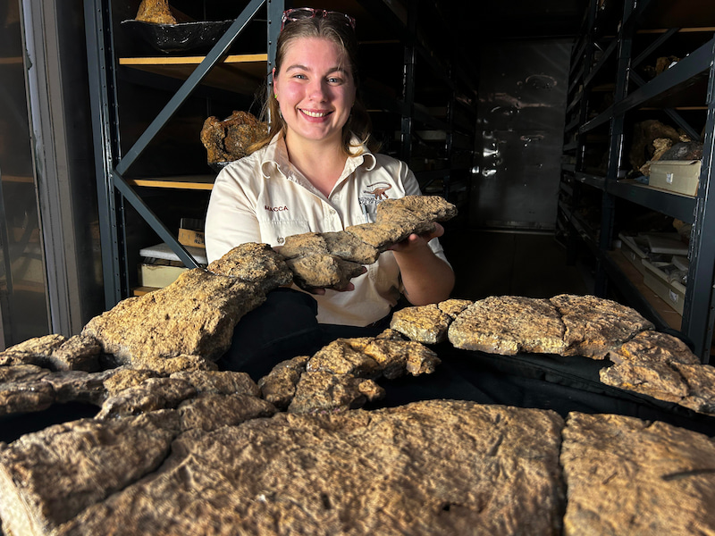 La gerente de colección de Australia Age of Dinosaurs, Mackenzie Enchelmaier, sostiene un fósil de contenido intestinal de saurópodos.