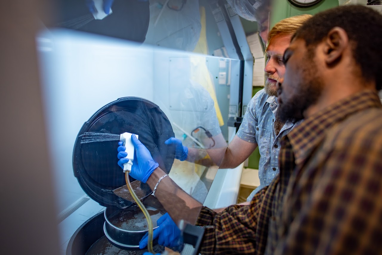 Los científicos de Groenlandia