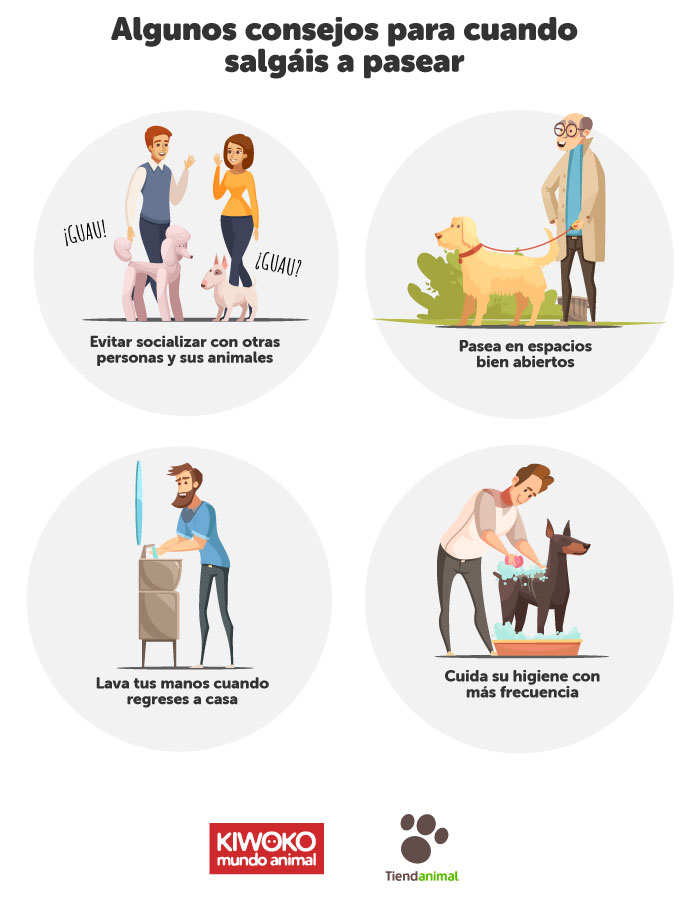 Recomendaciones paseo perros